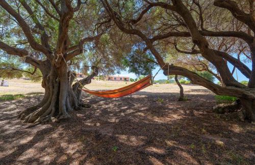 Aglientu Apartment | Casa Mirto con piscina e vista mare