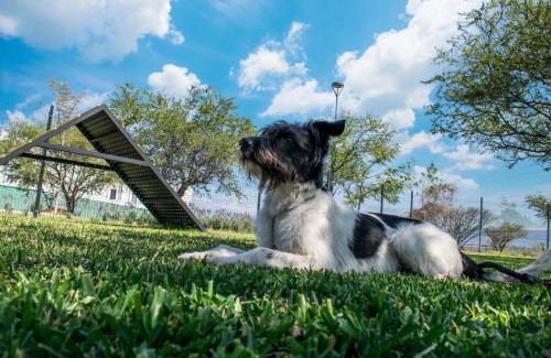 Xochitepec House | Casa Moderna con Alberca en Morelos