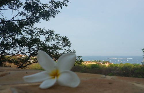 Tamarindo House | Casa Monacita, Breathtaking Ocean Views, Beach Walking Distance