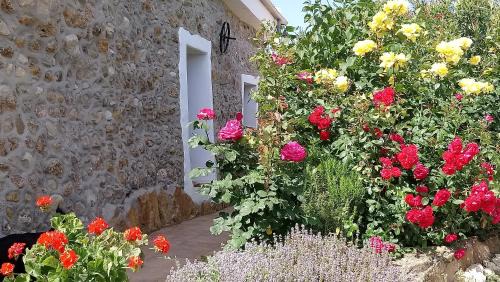 Alcala la Real Villa | Casa Moya