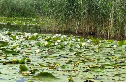 Mila 23 House | Casa Munteanu