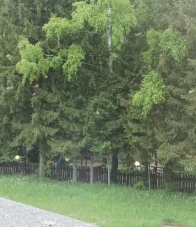 Poiana Brasov Hotel | Casa noastră Poiana Brașov