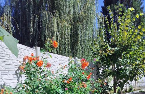 Brasov House | Casa Opal