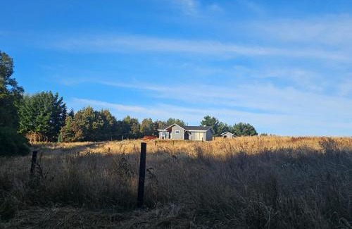 Frutillar House | Casa Parcela, Bosques de Frutillar