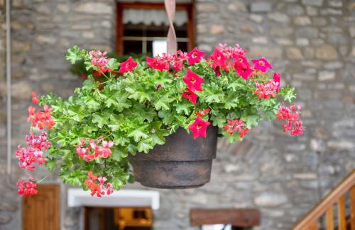 Morgex House | Casa Piertor Morgex