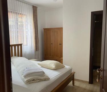 Sapinta House | Casa Pop