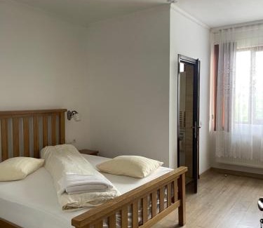 Sapinta House | Casa Pop