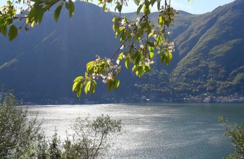 Nesso House | Casa privata con splendida vista lago "Il Gallicantus"