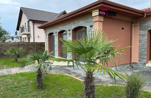 Ghiroda House | Casa Rebeca Timișoara