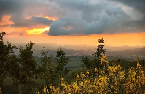 Treiso House | Casa Remussi