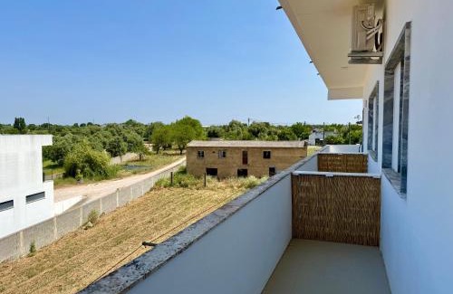 Paialvo House | Casa Rey's