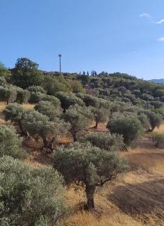 San Mauro Forte House | Casa Rocco