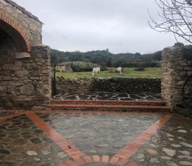 Plasenzuela House | Casa rural La Tahona del abuelo TR CC 00344