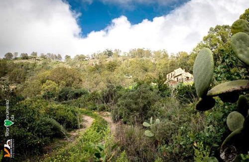 Teror House | Casa Rural Las Caldereras