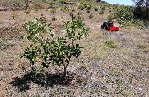 Teror House | Casa Rural Las Caldereras