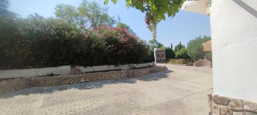 Illana House | Casa Rural MONTE VERDE