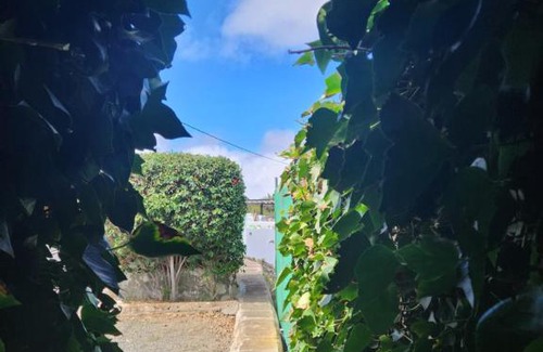 Santa Barbara Villa | Casa Salvia Icod - Hosted Canarian Villa