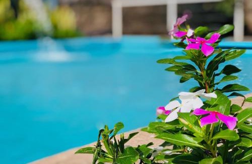 Ribeira Grande House | Casa Santa Barbara Deluxe