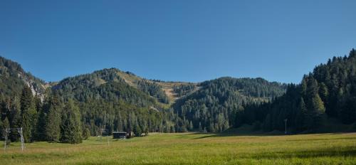 Sauris Apartment | Casa Sauris