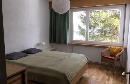 Tavanasa Apartment | Casa Splendusa - sonnige Wohnung in Brigels