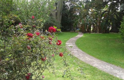 Luis Guillon House | Casa Suiza