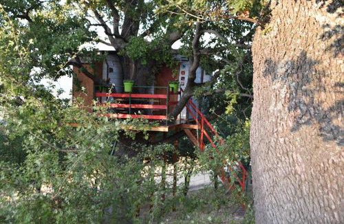 Lentella House | Casa sull'Albero