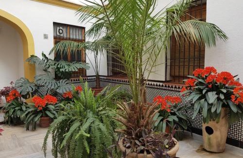 La Trinidad-San Juan y Todos los Santos Apartment | Casa Típica Cordobesa