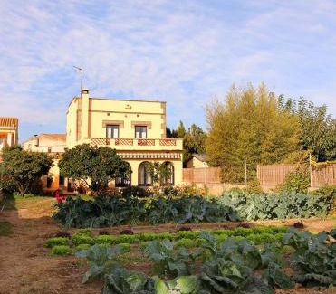 Borrassa House | Casa TAPIOLAS