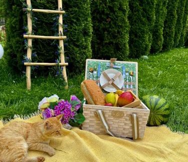 Rucar Villa | Casa Teodor Rucăr Casă de oaspeți