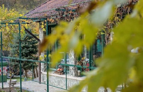 Ilia House | CASA TEODORA