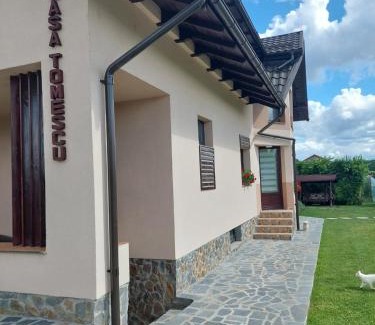 Albestii Paminteni House | Casa Tomescu