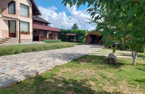 Albestii Paminteni House | Casa Tomescu