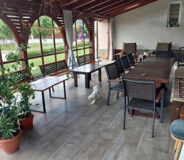 Albestii Paminteni House | Casa Tomescu