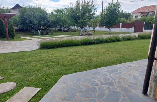 Albestii Paminteni House | Casa Tomescu