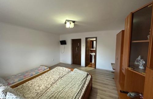 Cartisoara House | Casa Tradițională Cârtisoara