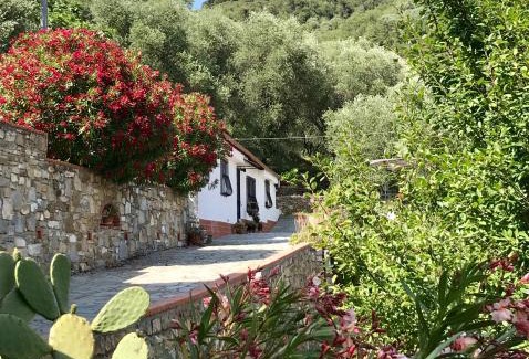 Diano San Pietro House | Casa Uliveto