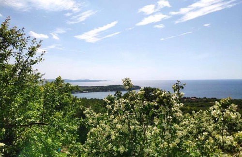 Muggia House | Casa Vacanza tra Cielo e Mare