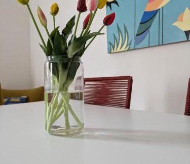 San Pietro in Lama House | Casa Vacanze con Piscina a 2 passi da Lecce P1