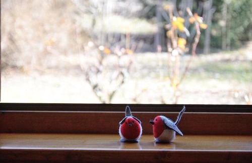 Ville d'Anaunia Apartment | Casa vacanze Dos de Loré - Relax a due passi da Tovel