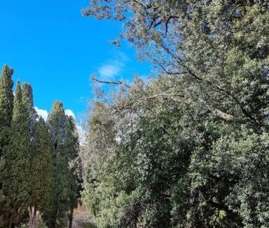 Castel Viscardo Apartment | Casa vacanze “La casetta di Anna”