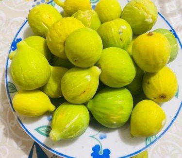 Venosa Apartment | Casa Vacanze "LE DUE RONDINI"