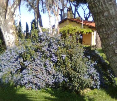 Lake Bracciano House | Casa Vacanze Vigna di Valle