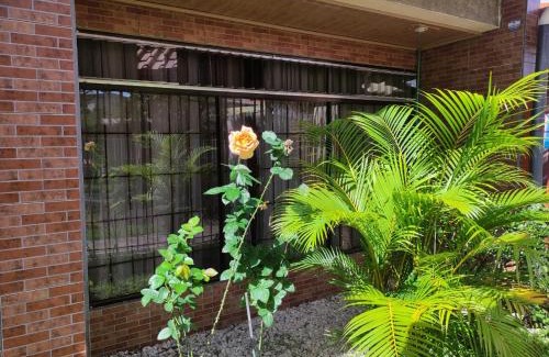 San Jose House | Casa Victoria