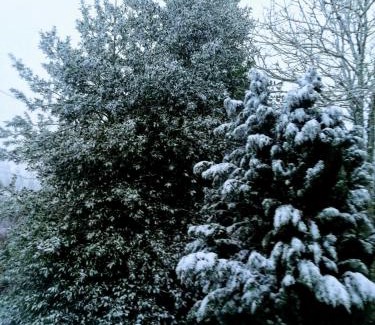 Chandrexa de Queixa House | Casal de Drados