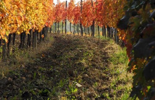 Gagliano House | Casali del Picchio - Winery