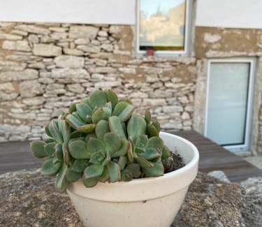 Porto de Mos House | Casas da Chainça - Turismo de Natureza