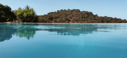 Aldeia dos Palheiros House | Casas de Campo do Castro da Cola