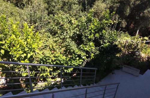 Ribeira de Pena Apartment | Casas do Caminho Velho