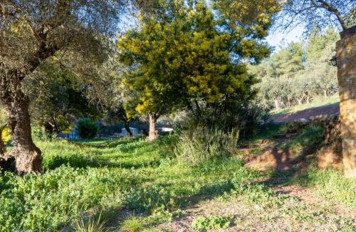 Fuentes de Leon House | Casas Rurales Las Cuevas El Rincón