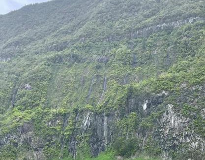 Salazie Apartment | Cascade et Paille-en-queue - Studio